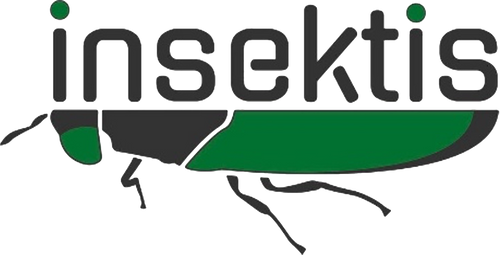 Insektis