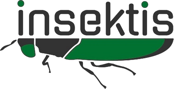 Insektis